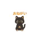 やさしいねこの毎日スタンプ（個別スタンプ：3）