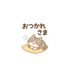 やさしいねこの毎日スタンプ（個別スタンプ：4）