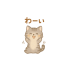 やさしいねこの毎日スタンプ（個別スタンプ：5）