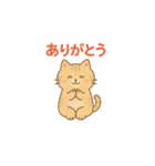 やさしいねこの毎日スタンプ（個別スタンプ：7）