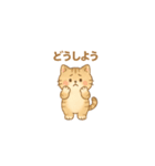 やさしいねこの毎日スタンプ（個別スタンプ：9）