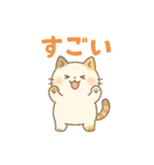 やさしいねこの毎日スタンプ（個別スタンプ：12）