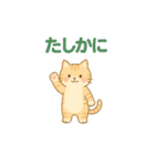 やさしいねこの毎日スタンプ（個別スタンプ：17）