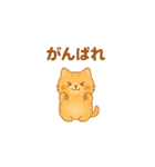 やさしいねこの毎日スタンプ（個別スタンプ：21）