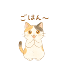 やさしいねこの毎日スタンプ（個別スタンプ：23）