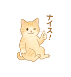 やさしいねこの毎日スタンプ（個別スタンプ：24）