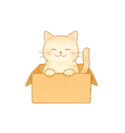 やさしいねこの毎日スタンプ（個別スタンプ：25）