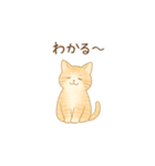 やさしいねこの毎日スタンプ（個別スタンプ：26）