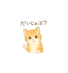 やさしいねこの毎日スタンプ（個別スタンプ：27）