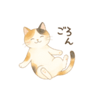 やさしいねこの毎日スタンプ（個別スタンプ：28）
