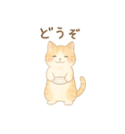 やさしいねこの毎日スタンプ（個別スタンプ：29）