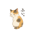 やさしいねこの毎日スタンプ（個別スタンプ：30）
