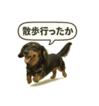 ららら 犬（個別スタンプ：2）
