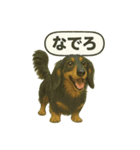 ららら 犬（個別スタンプ：4）