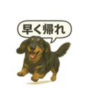 ららら 犬（個別スタンプ：6）