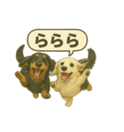 ららら 犬（個別スタンプ：9）