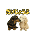 ららら 犬（個別スタンプ：15）