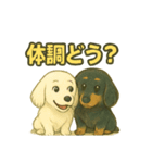 ららら 犬（個別スタンプ：19）