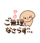 トイプードル「アプリコット」敬語・丁寧（個別スタンプ：3）