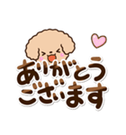 トイプードル「アプリコット」敬語・丁寧（個別スタンプ：13）