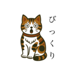 わりと透けてるぬこ（個別スタンプ：3）