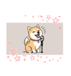 柴犬バンドマンBAND（個別スタンプ：1）