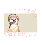 柴犬バンドマンBAND（個別スタンプ：5）