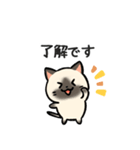 あなたのネコシリーズ10（個別スタンプ：6）