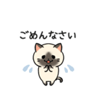 あなたのネコシリーズ10（個別スタンプ：10）