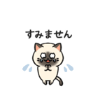 あなたのネコシリーズ10（個別スタンプ：11）