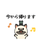 あなたのネコシリーズ10（個別スタンプ：16）