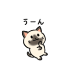 あなたのネコシリーズ10（個別スタンプ：22）