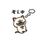 あなたのネコシリーズ10（個別スタンプ：23）