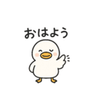 まるまるアヒルの日常スタンプ（個別スタンプ：1）