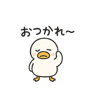 まるまるアヒルの日常スタンプ（個別スタンプ：5）