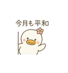 まるまるアヒルの日常スタンプ（個別スタンプ：13）