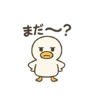 まるまるアヒルの日常スタンプ（個別スタンプ：24）