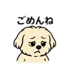 色んな表情するマルチーズ（個別スタンプ：6）