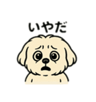 色んな表情するマルチーズ（個別スタンプ：7）