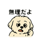 色んな表情するマルチーズ（個別スタンプ：8）