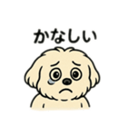 色んな表情するマルチーズ（個別スタンプ：15）