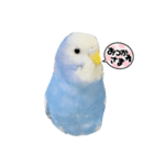 とらちゃんのすけスタンプ（個別スタンプ：1）