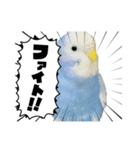とらちゃんのすけスタンプ（個別スタンプ：4）