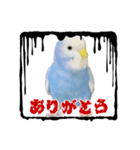 とらちゃんのすけスタンプ（個別スタンプ：5）