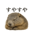 仕事終わりひとこと集〜マーモット（個別スタンプ：2）