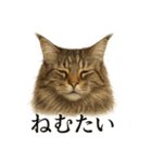 仕事終わりひとこと集〜サイベリアン（個別スタンプ：9）