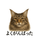 仕事終わりひとこと集〜サイベリアン（個別スタンプ：10）