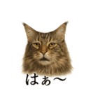 仕事終わりひとこと集〜サイベリアン（個別スタンプ：11）