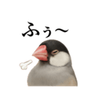 仕事終わりひとこと集〜文鳥（個別スタンプ：6）