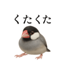 仕事終わりひとこと集〜文鳥（個別スタンプ：14）